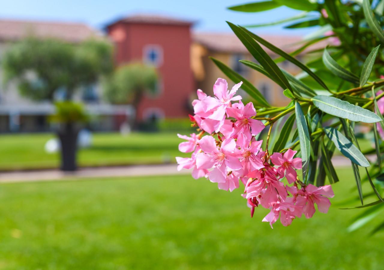 Th Lazise - Hotel Parchi Del Garda Exterior foto